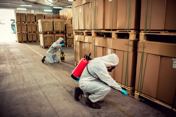 Flea Control Services in Northvale, NJ