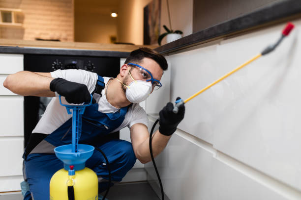 Trusted Northvale, NJ Pest Control Experts