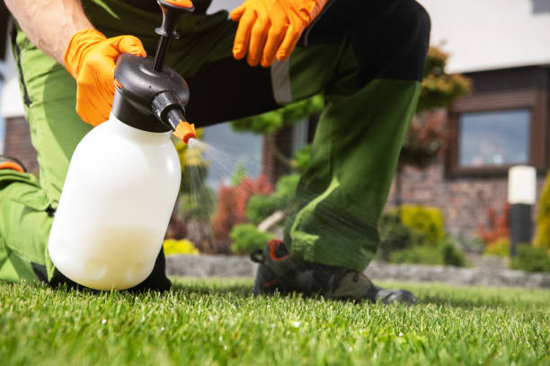 Best Residential Pest Control  in Northvale, NJ