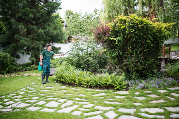 Insect Control in Northvale, NJ
