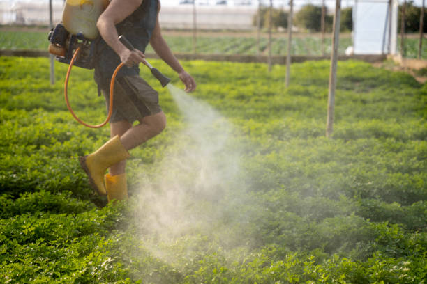 Best Local Pest Control Services  in Northvale, NJ