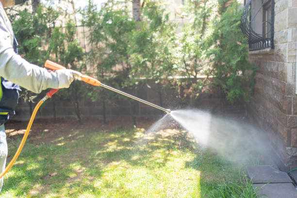 Best Emergency Pest Control  in Northvale, NJ